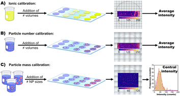 Graphical abstract: A novel particle mass calibration strategy for the quantification of AuNPs in single cancer cells via laser ablation ICP-mass spectrometry. A case study