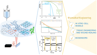 Graphical abstract: From rheological concepts to additive manufacturing assessment of hydrogel-based materials for advanced bioprinting applications