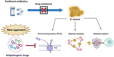 Graphical abstract: Small molecule antipathogenic agents against Staphylococcus aureus infections