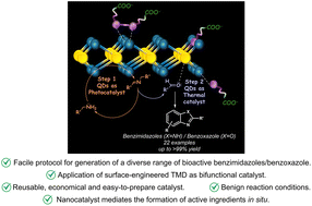Graphical abstract: Thiolated molybdenum diselenide quantum dots as a bifunctional catalyst towards the synthesis of benzimidazoles