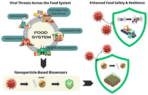 Graphical abstract: Nanoparticle-based biosensors for virus detection in food systems: from farm to fork