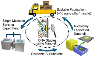 Graphical abstract: Microtomy-fabricated two-dimensional nano-slits enable single molecule biosensing