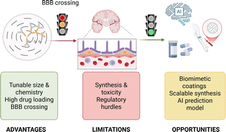 Graphical abstract: Crossing the blood–brain barrier: advances in dendrimer-based nanocarriers for central nervous system delivery