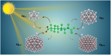 Graphical abstract: Mechanistic insights into plasmon-driven hot electron transfer from silver nanoclusters to PFAS: interplay of size and electronic structure