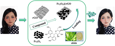 Graphical abstract: Comparative analysis of the inhibitory effects of aloin on tyrosinase supported by Fe3O4@rGO: investigation of interaction mechanisms, inhibitory activity, and conformational changes