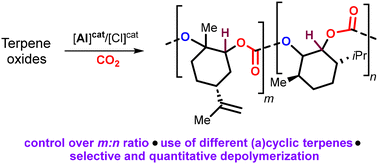 Graphical abstract: Synthesis and depolymerization studies of biohybrid polycarbonates derived from terpenes