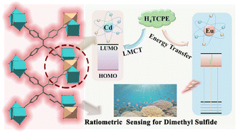 Graphical abstract: Fluorescence of europium from absence to emergence in cadmium-induced heterobimetallic organic frameworks for ratiometric sensing