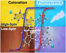 Graphical abstract: 60 K wide hysteresis embracing room temperature in a fluorescent FeII spin transition complex