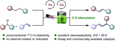 Graphical abstract: Photoelectrochemical iron–cobalt synergistic catalysis for C(sp3)–H alkenylation