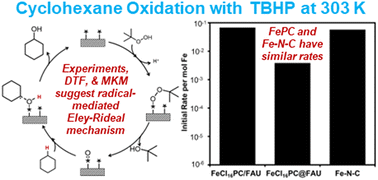 Graphical abstract: Kinetic and mechanistic studies of cyclohexane oxidation with tert-butyl hydroperoxide over M–N4 catalysts