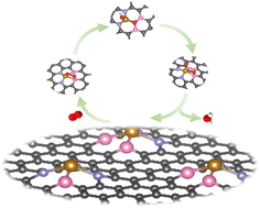 Graphical abstract: Dual-function synergy in boron-doped Fe–N–C: enhanced site density and intrinsic activity