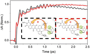 Graphical abstract: Jahn–Teller distortion controls electron transfer in photoexcited Cu(i) donor–acceptor systems