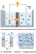 Graphical abstract: Space charge-enhanced ion permselectivity of nanofluidic membranes for ionic power harvesting