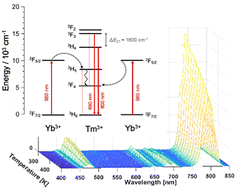 Graphical abstract: Understanding the thermometric behaviour of LiLuF4:Tm3+,Yb3+
