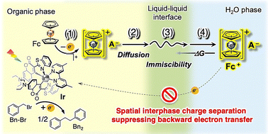 Graphical abstract: Factors maximising photoinduced electron-transfer-coupled phase migration to boost biphasic photocatalysis