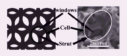 Graphical abstract: Macro-cellular silica foams: synthesis during the natural creaming process of an oil-in-water emulsion