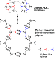 Graphical abstract: ROP relationships between coordination polymers and discrete complexes: discrete bowl-shaped isomers of a 2-dimensional {M4L3}n polymer