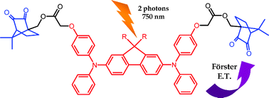 Graphical abstract: Two-photon absorption and polymerization ability of intramolecular energy transfer based photoinitiating systems