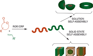 Graphical abstract: Controlled ring-opening polymerisation of cyclic esters: polymer blocks in self-assembled nanostructures