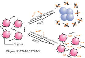 Graphical abstract: Colorimetric recognition of DNAintercalators with unmodified gold nanoparticles