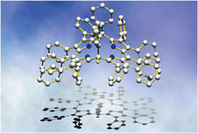 Graphical abstract: Formation of dodecaphenylporphodimethene via facile protonation of saddle-distorted dodecaphenylporphyrin