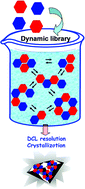 Graphical abstract: Self-sorting of equilibrating metallosupramolecular DCLs via constitutional crystallization