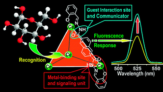 Graphical abstract: Self-assembly of cerium-based metal–organic tetrahedrons for size-selectively luminescent sensing natural saccharides