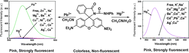 Graphical abstract: Highly sensitive and selective turn-on fluorescent chemosensor for Pb2+ and Hg2+ based on a rhodamine–phenylurea conjugate