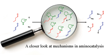 Graphical abstract: Mechanisms in aminocatalysis