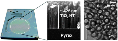 Graphical abstract: Photocatalytic methane decomposition over vertically aligned transparent TiO2 nanotube arrays