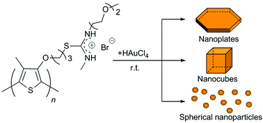Graphical abstract: Shape-controllable gold nanocrystallization using an amphiphilic polythiophene