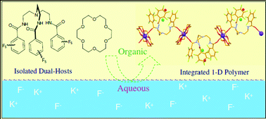 Graphical abstract: Dual-host approach for liquid–liquid extraction of potassium fluoride/chloridevia formation of an integrated 1-D polymeric complex