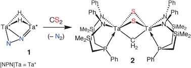 Graphical abstract: Complete disassembly of carbon disulfide by a ditantalum complex