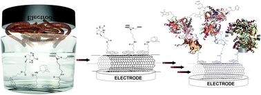 Graphical abstract: Multiple functionalization of single-walled carbon nanotubes by dip coating