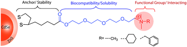 Graphical abstract: Synthesis of cationic quantum dotsvia a two-step ligand exchange process