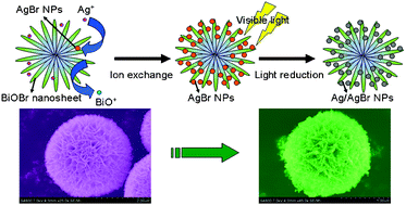 Graphical abstract: In situ ion exchange synthesis of the novel Ag/AgBr/BiOBr hybrid with highly efficient decontamination of pollutants