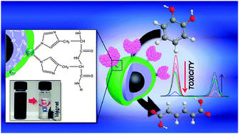 Graphical abstract: Enzyme–magnetic nanoparticle conjugates as a rigid biocatalyst for the elimination of toxic aromatic hydrocarbons