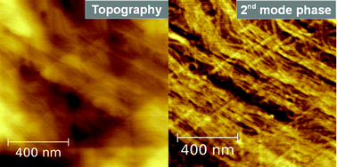 Graphical abstract: Morphological and mechanical properties of alkanethiol self-assembled monolayers investigated via bimodal atomic force microscopy