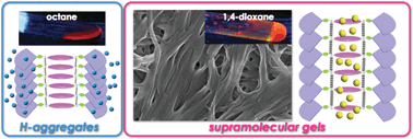 Graphical abstract: Solvent-dependent supramolecular assemblies of π-conjugated anion-responsive acyclic oligopyrroles