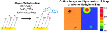 Graphical abstract: Application of synchrotron FTIR microspectroscopy for determination of spatial distribution of methylene blue conjugated onto a SAM via “click” chemistry