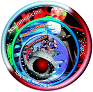 Graphical abstract: Yolk/shell nanoparticles: new platforms for nanoreactors, drug delivery and lithium-ion batteries