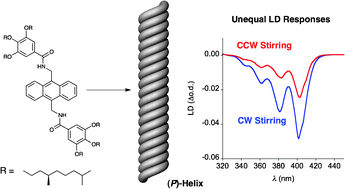 Graphical abstract: A self-assembled helical anthracene nanofibre whose P- and M-isomers show unequal linear dichroism in a vortex