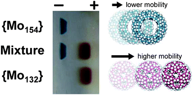 Graphical abstract: Exploring the mobility of nanoscale polyoxometalates using gel electrophoresis
