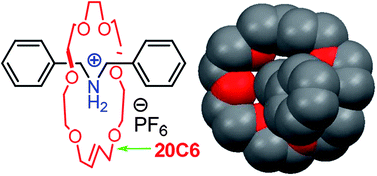 Graphical abstract: Formation of [2]rotaxanes by encircling [20], [21] and [22]crown ethers onto the dibenzylammonium dumbbell