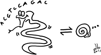 Graphical abstract: DNA compaction: fundamentals and applications