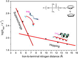 Graphical abstract: Electron transfer through α-peptides attached to vertically aligned carbon nanotube arrays: a mechanistic transition