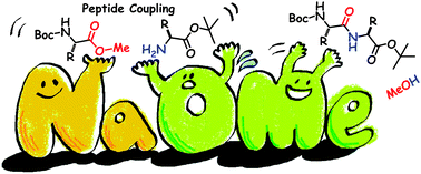 Graphical abstract: Sodium methoxide: a simple but highly efficient catalyst for the direct amidation of esters
