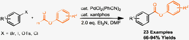 Graphical abstract: Palladium-catalyzed esterification of aryl halides using aryl formates without the use of external carbon monoxide