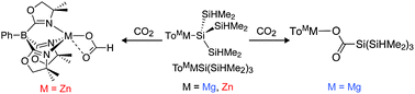 Graphical abstract: Divergent reaction pathways of tris(oxazolinyl)borato zinc and magnesium silyl compounds