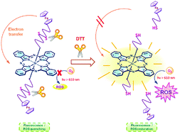 Graphical abstract: A disulfide-linked conjugate of ferrocenyl chalcone and silicon(iv) phthalocyanine as an activatable photosensitiser